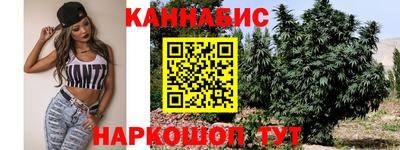 индика Ипатово