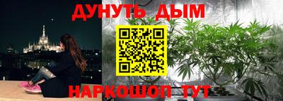 spice Ирбит